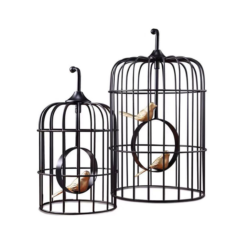 Birdcage 1